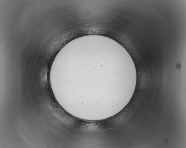 X0000115500310200912041044