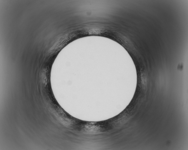 X0000115500311200912041044