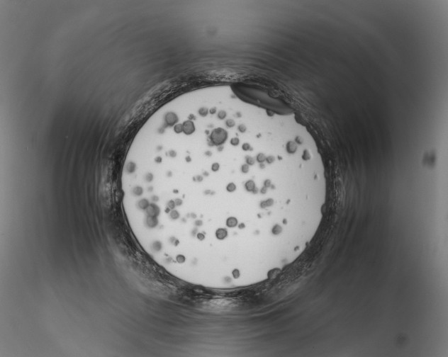 X0000115500312200912041044