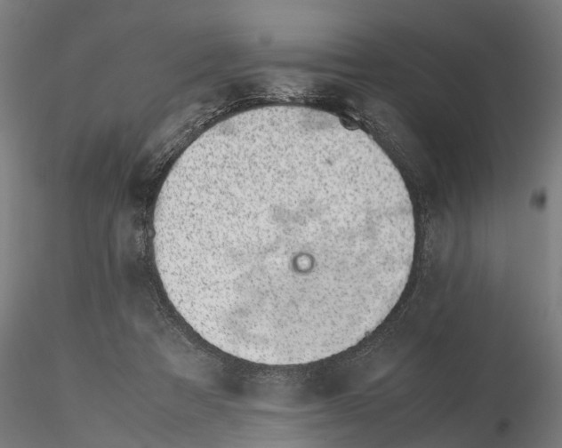 X0000115500313200912041044