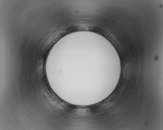 X0000115500314200912041044