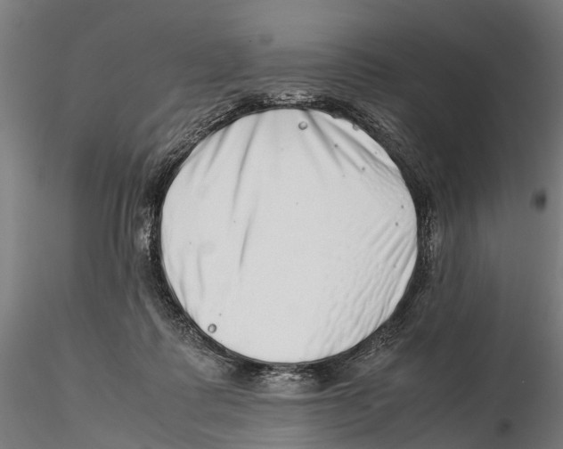 X0000115500315200912041044