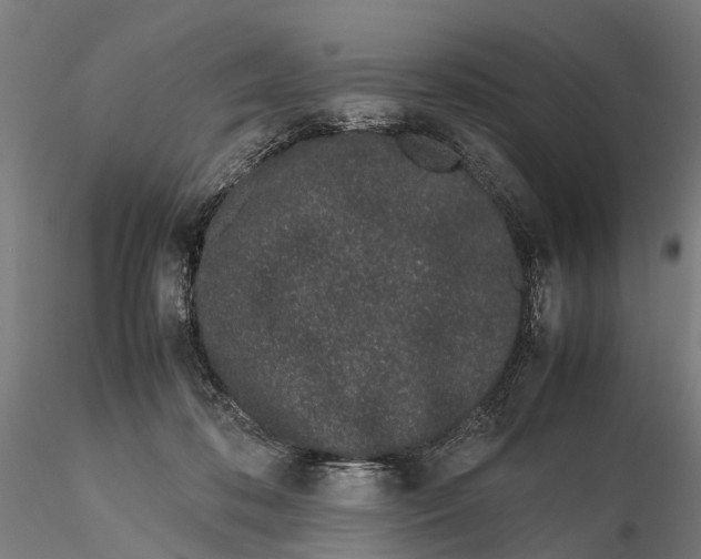 X0000115500316200912041044