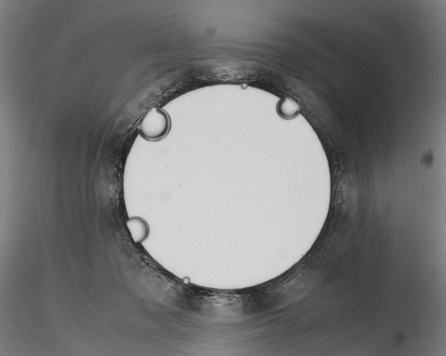 X0000115500317200912041044