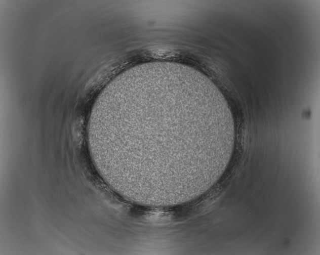 X0000115500319200912041044