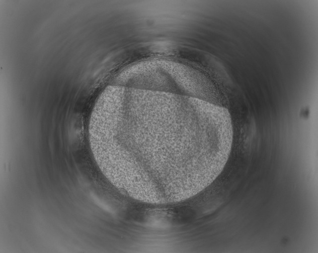 X0000115500320200912041044