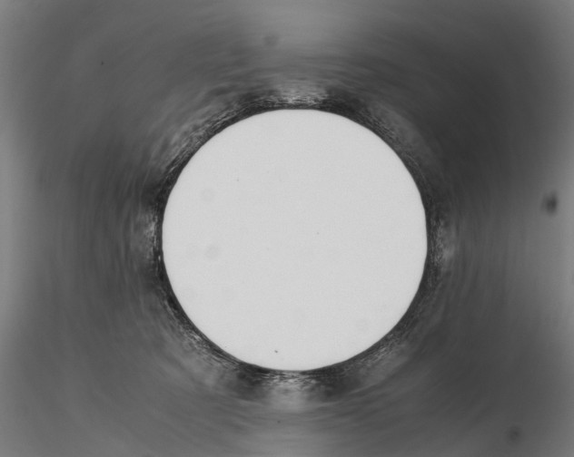 X0000115500321200912041044