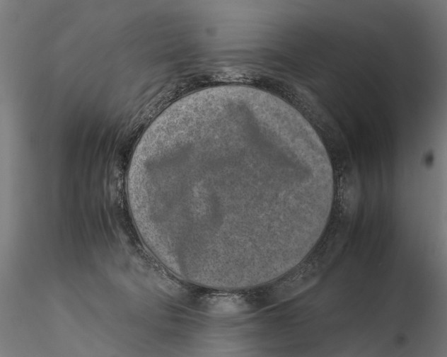 X0000115500322200912041044