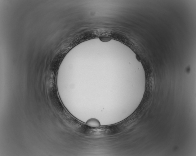 X0000115500323200912041044