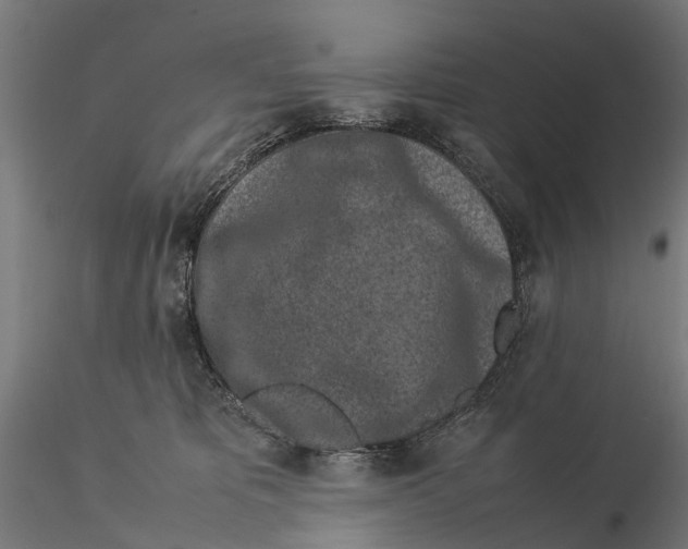 X0000115500325200912041044