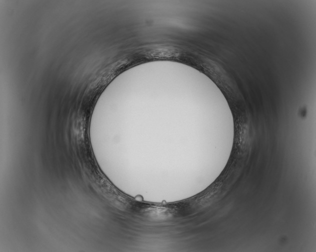 X0000115500326200912041044