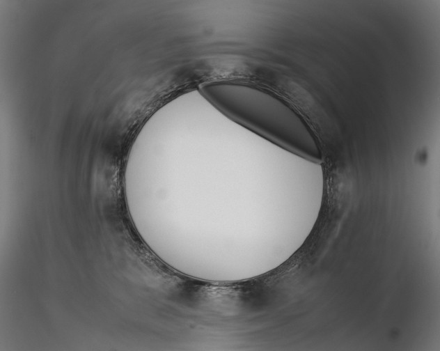 X0000115500327200912041044