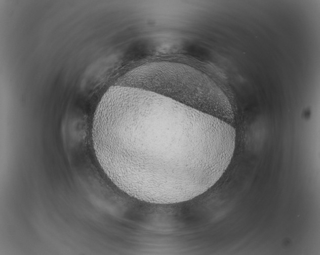 X0000115500328200912041044