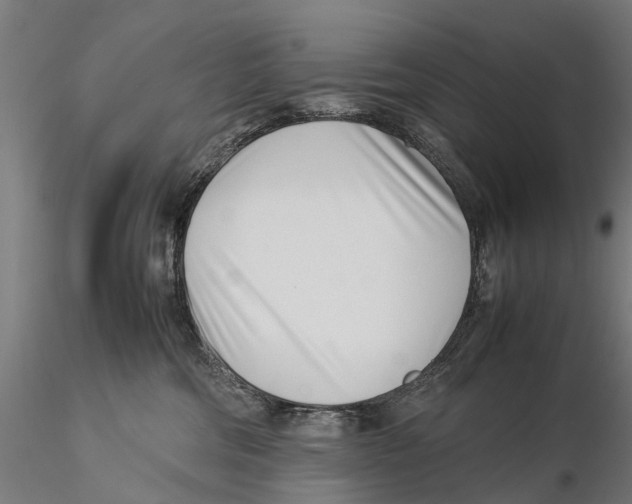X0000115500330200912041044