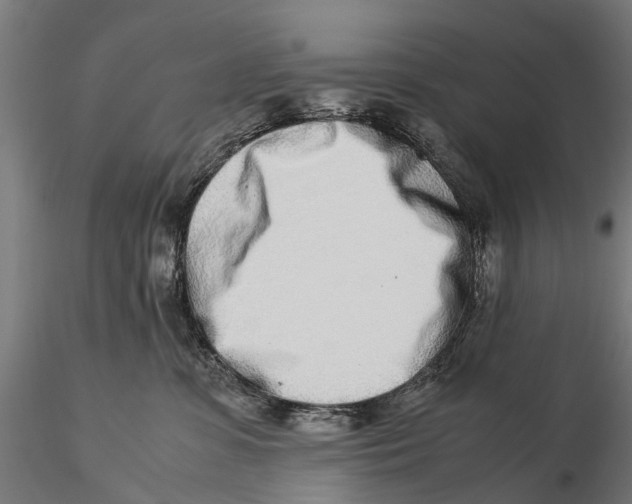 X0000115500331200912041044