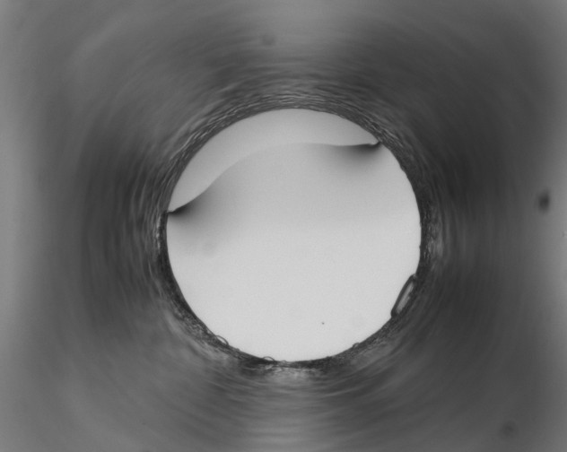 X0000115500332200912041043