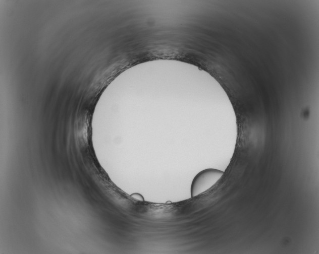 X0000115500334200912041043