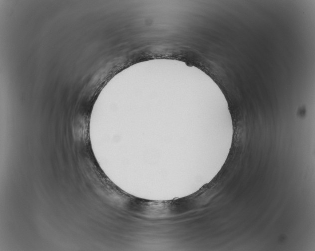 X0000115500335200912041043