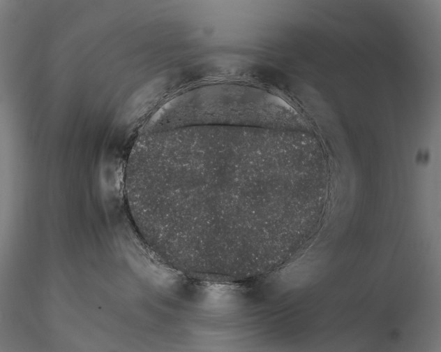 X0000115500336200912041043