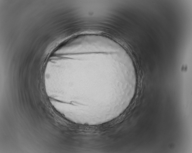 X0000115500337200912041043