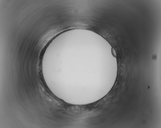 X0000115500338200912041043