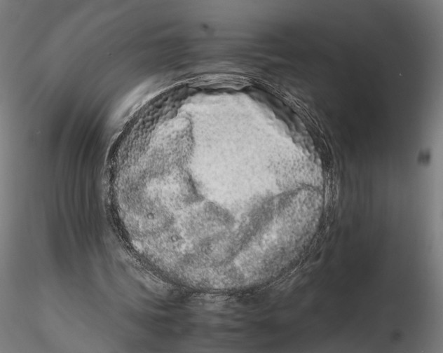 X0000115500339200912041043