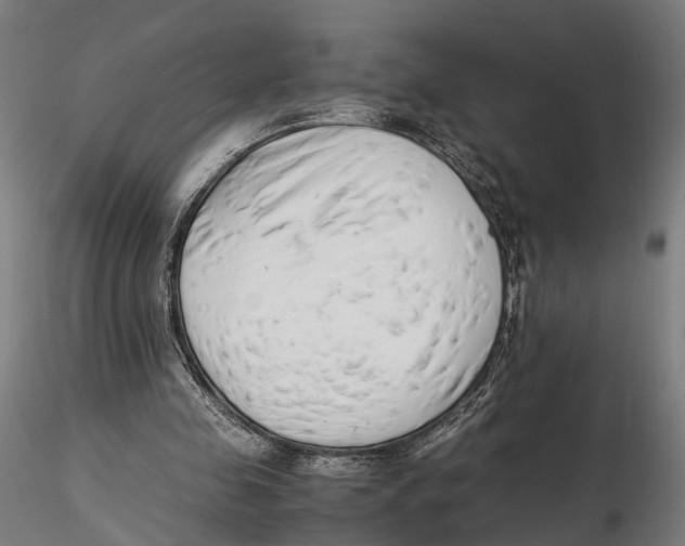 X0000115500341200912041043