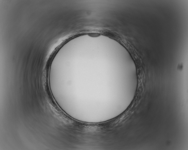 X0000115500342200912041043