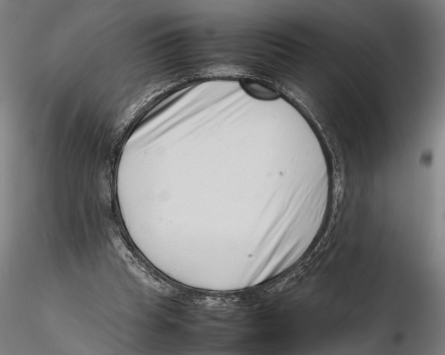 X0000115500345200912041043