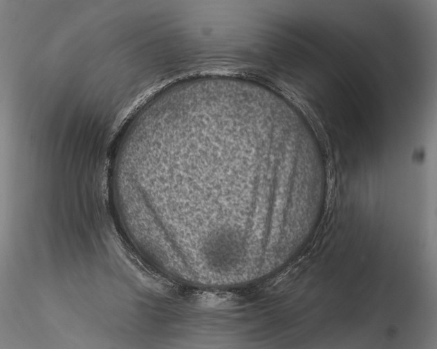 X0000115500346200912041043
