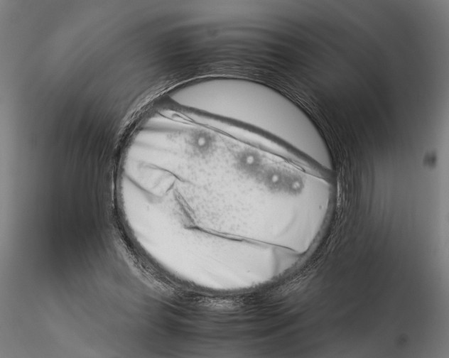 X0000115500349200912041043