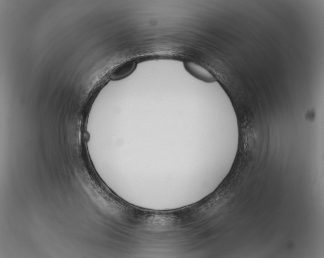 X0000115500350200912041043
