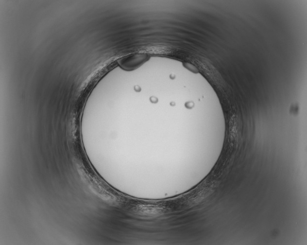 X0000115500351200912041043