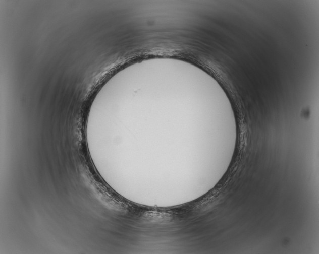 X0000115500354200912041043