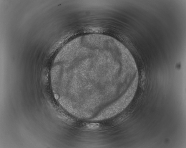 X0000115500355200912041043