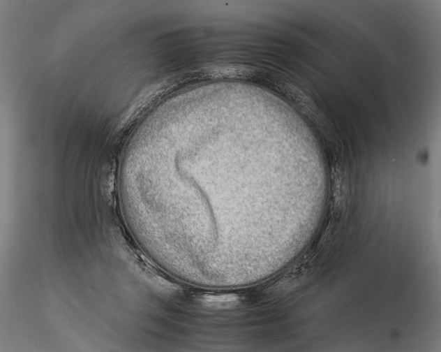 X0000115500357200912041043