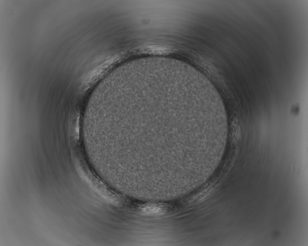 X0000115500358200912041043