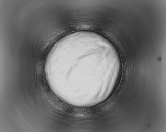 X0000115500359200912041043