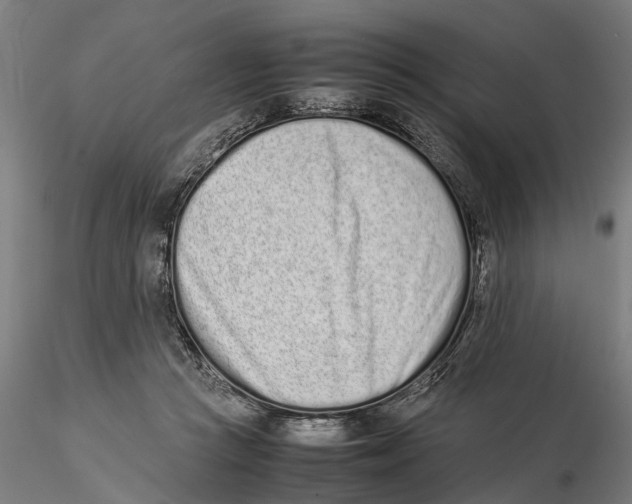 X0000115500361200912041043