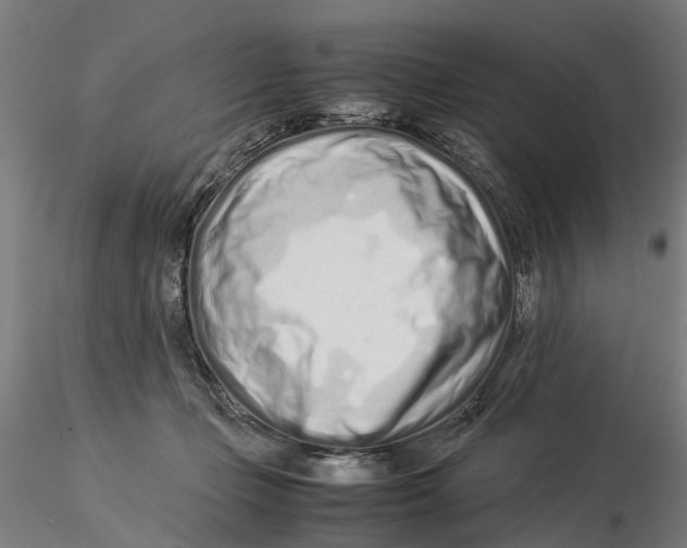 X0000115500365200912041043