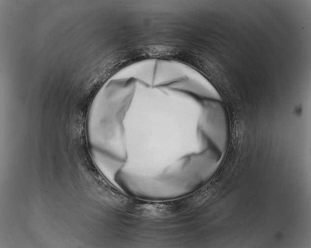 X0000115500367200912041043