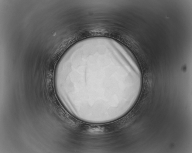 X0000115500369200912041043