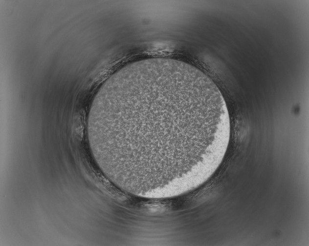 X0000115500370200912041043