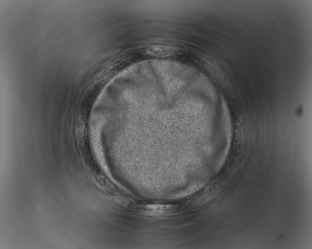 X0000115500371200912041043