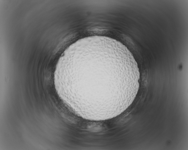 X0000115500377200912041043