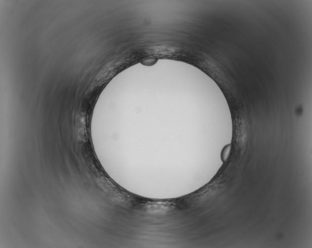 X0000115500378200912041043
