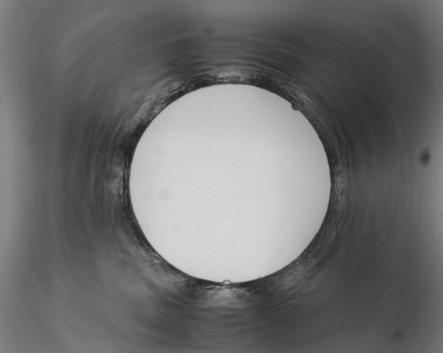 X0000115500379200912041043
