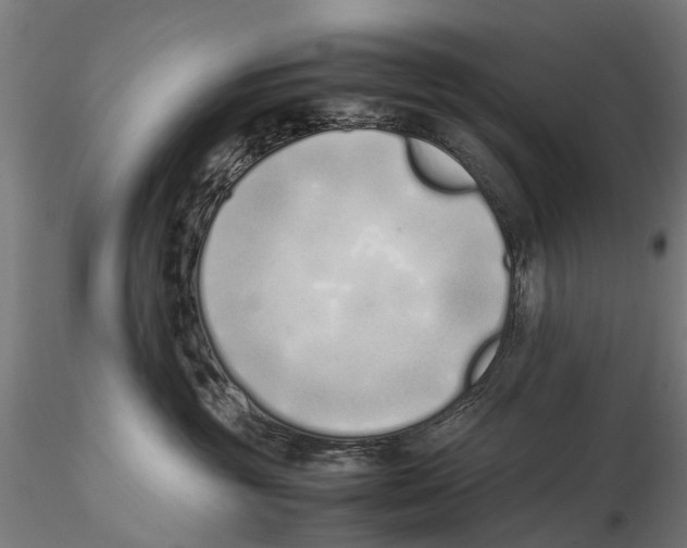 X0000115500381200912041043