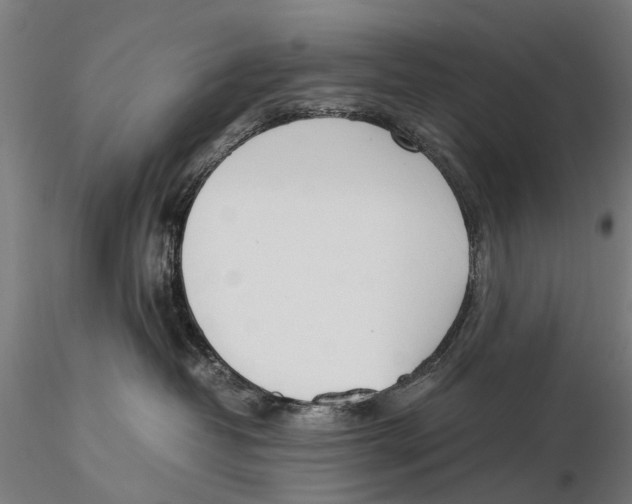X0000115500382200912041043