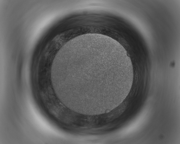 X0000115500383200912041043